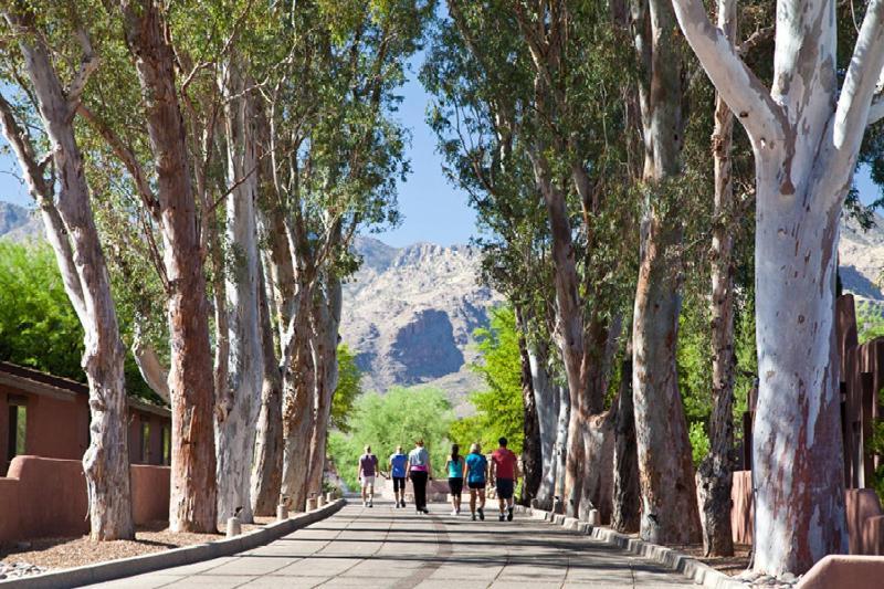 Canyon Ranch Tucson Mount Lemmont Экстерьер фото